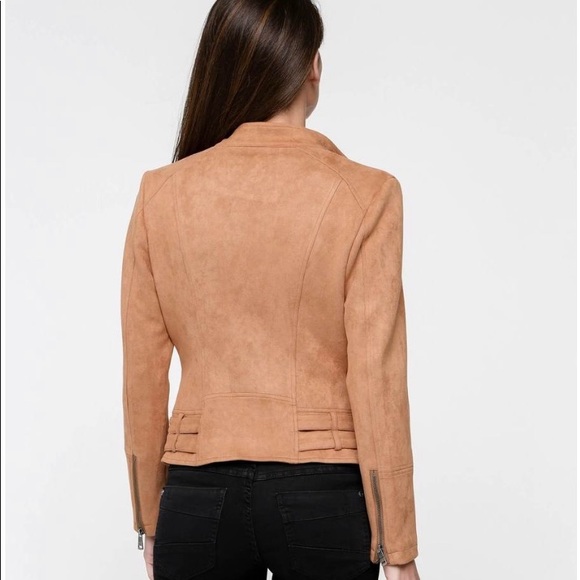 Moto jacket - Picture 2 of 2